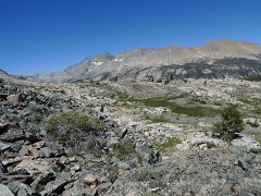 MineralKingLoop 125
